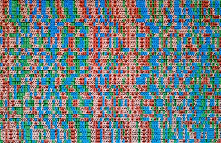 Unaligned DNA sequences displayed on an LCD monitor screen