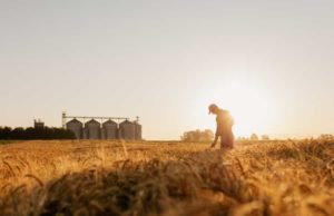 CF Industries (CF) анализ акций компании на 2023-2024 год