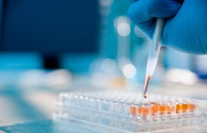 Charles River Laboratories (CRL) анализ акций компании на 2023-2024 год