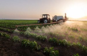 Corteva (CTVA) анализ акций компании на 2023-2024 год