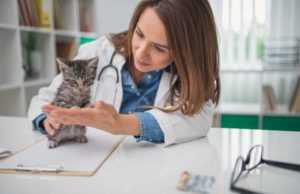 Elanco Animal Health (ELAN) анализ акций компании на 2023-2024 год