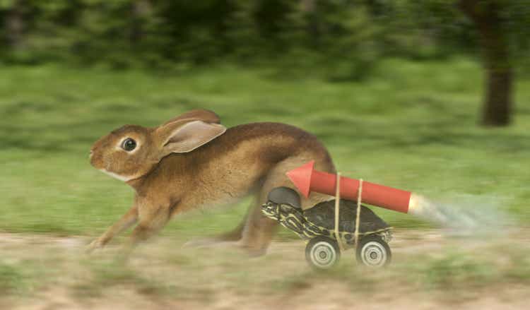 Turtle hare race with a difference