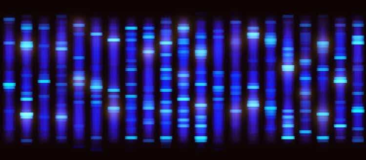 Sanger Sequencing Background