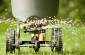 Nutrien (NTR) анализ акций компании на 2023-2024 год