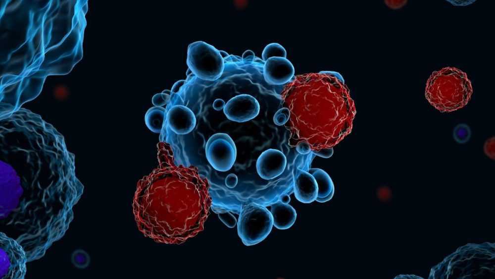 An illustration of immune system T cells attacking cancer cells.