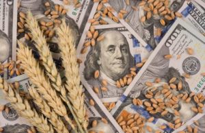 Archer-Daniels-Midland (ADM) анализ акций компании на 2023-2024 год