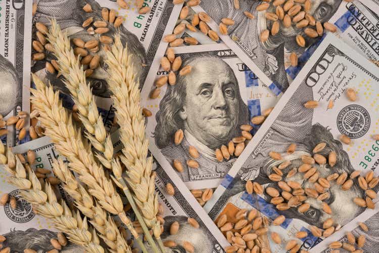Hundert-Dollar-Banknoten mit Weizen- und Getreideähren. Globales Konzept der Nahrungsmittelkrise. Steigende Preise für Lebensmittel und Brot