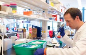 Благодаря последнему сбору средств Rome Therapeutics работает над созданием лекарств для ‘темного генома’