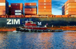 ZIM Integrated (ZIM) анализ акций компании на 2023-2024 год