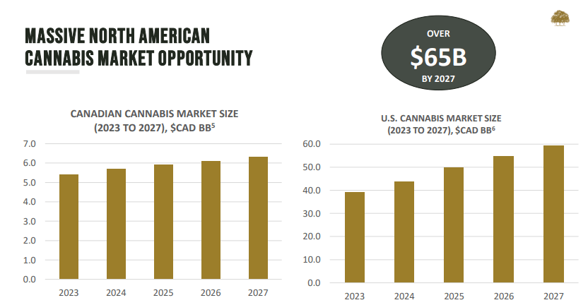 market opportunity