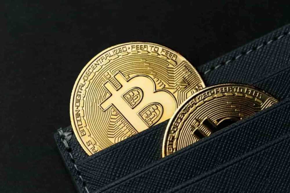 How many people own 1 Bitcoin?