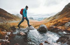 Academy Sports and Outdoors (ASO): обзор деятельности компании и её акций