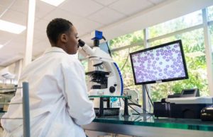 ImmunoGen (IMGN): обзор деятельности компании и её акций