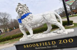 Brookfield Business Partners (BBUC): обзор деятельности компании и её акций