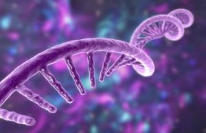 CureVac’s CVGBM Trial (CVAC): обзор деятельности компании и её акций