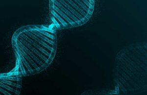 Ginkgo Bioworks (DNA): обзор деятельности компании и её акций