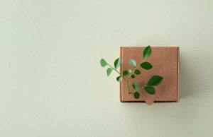 Graphic Packaging(GPK): обзор деятельности компании и её акций