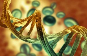Immunocore (IMCR): обзор деятельности компании и её акций