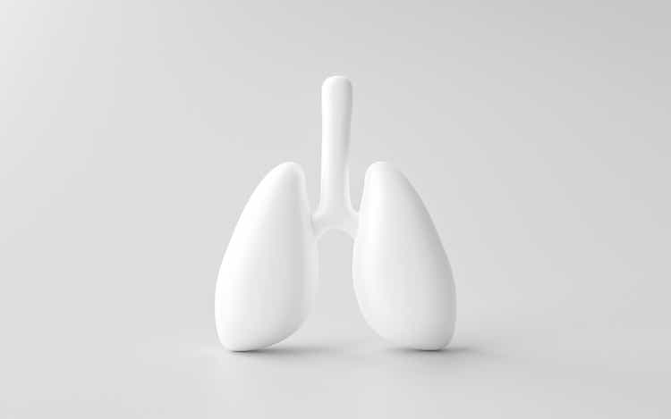 Человеческое легкое изолировано на белом фоне анатомии грудной клетки тела 3d-фона с медицинской респираторной биологией, органом, здоровым уходом или легочной системой внутреннего дыхания и рентгеновским лечением дыхания.