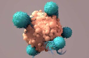 Autolus Therapeutics (AUTL): обзор деятельности компании и её акций