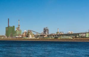 Clearwater Paper (CLW): обзор деятельности компании и её акций