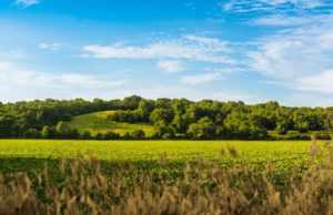 Farmland Partners (FPI): обзор деятельности компании и её акций