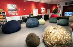 Lovesac (LOVE): обзор деятельности компании и её акций