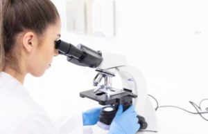 Monte Rosa Therapeutics (GLUE): обзор деятельности компании и её акций