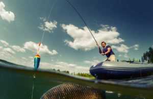 The Bottom Fishing Club (IPI): обзор деятельности компании и её акций