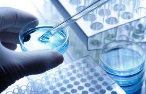 Adial Clinical Trial (ADIL): обзор деятельности компании и её акций