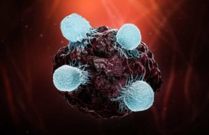 Aileron Therapeutics (ALRN): обзор деятельности компании и её акций