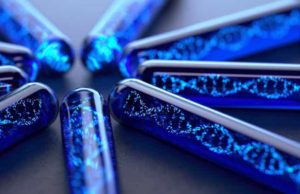 Alzamend (ALZN): обзор деятельности компании и её акций