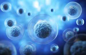 Apogee Therapeutics (APGE): обзор деятельности компании и её акций