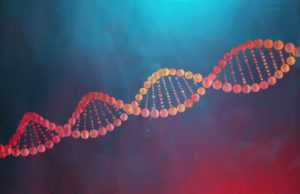 Bionano Genomics (BNGO): обзор деятельности компании и её акций