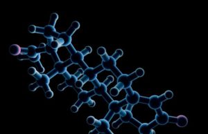 Context Therapeutics (CNTX): обзор деятельности компании и её акций