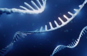 CSPC Pharma Wins China’s (CSPCY): обзор деятельности компании и её акций