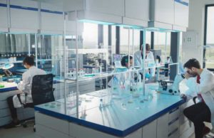 Genscript Biotech (GNNSF): обзор деятельности компании и её акций