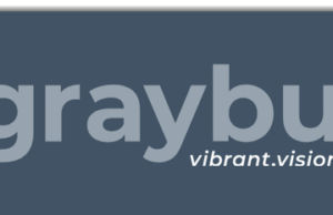 Graybug Vision (GRAY): обзор деятельности компании и её акций