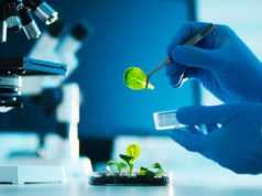Shanghai Junshi Biosciences (SHJBF): обзор деятельности компании и её акций