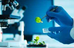 Shanghai Junshi Biosciences (SHJBF): обзор деятельности компании и её акций