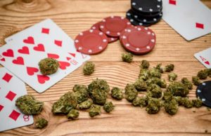 Leafly (LFLY): обзор деятельности компании и её акций