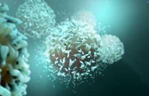 MiNK Therapeutics (INKT): обзор деятельности компании и её акций