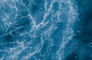 Ocean Biomedical (OCEA): обзор деятельности компании и её акций