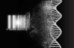 ProPhase Labs (PRPH): обзор деятельности компании и её акций