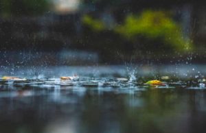 Rain Oncology (RAIN): обзор деятельности компании и её акций