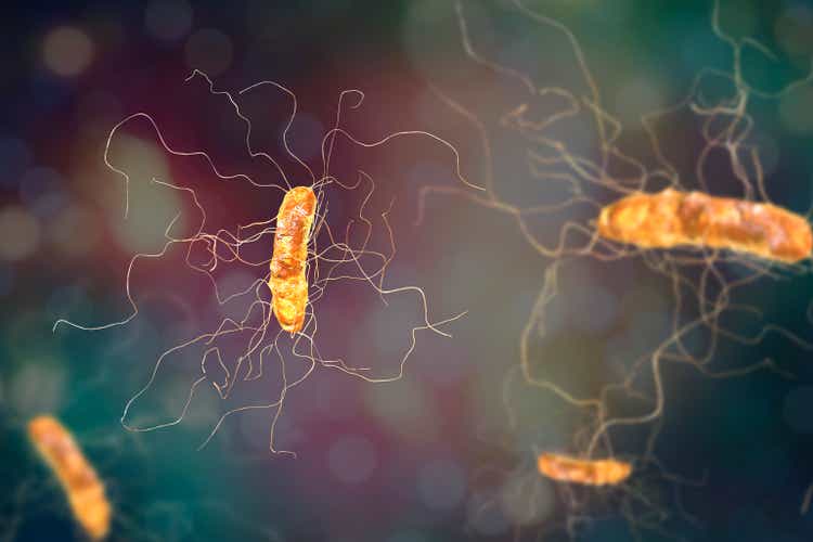 Бактерия Clostridium difficile
