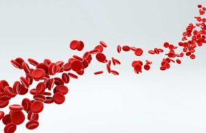 Semler Scientific (SMLR): обзор деятельности компании и её акций