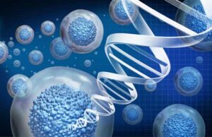 Taysha Gene Therapies (TSHA): обзор деятельности компании и её акций