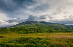 Tejon Ranch (TRC): обзор деятельности компании и её акций