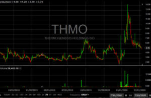 ThermoGenesis Holdings (THMO): обзор деятельности компании и её акций